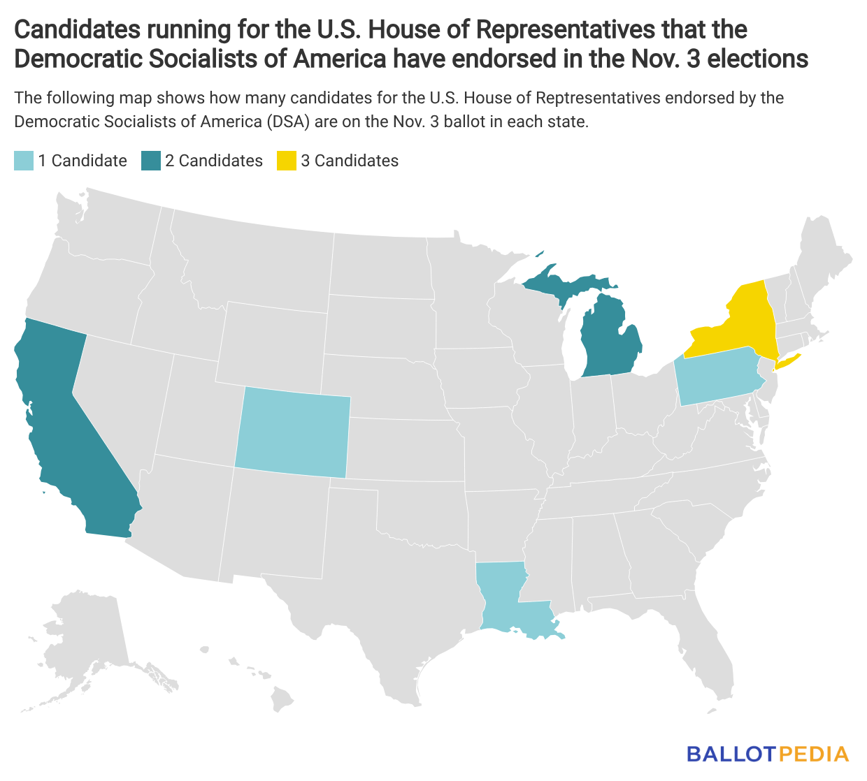 Democratic Socialists of America backs 131 candidates in 30 states ...